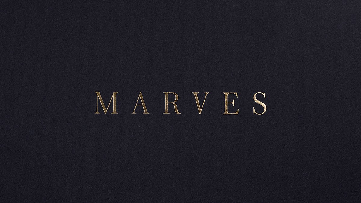 深圳品牌設計  深圳品牌策劃  MARVES女性時尚服裝品牌形象設計   標志設計