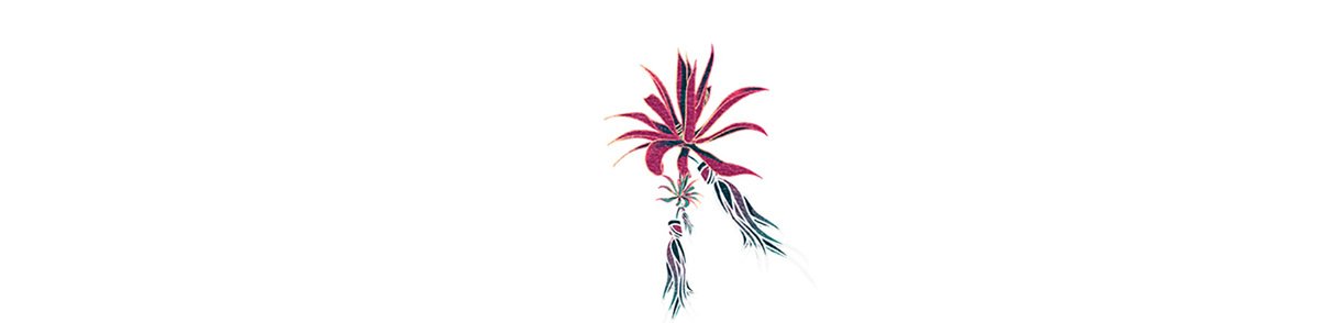 越南蜜餞食品 Nhà 品牌包裝vi設(shè)計(jì)，vi設(shè)計(jì)，視覺(jué)形象vi設(shè)計(jì)，食品vi設(shè)計(jì)，品牌包裝設(shè)計(jì)，蜜餞食品品牌vi設(shè)計(jì)，vi品牌策劃，深圳vi設(shè)計(jì)，左右格局