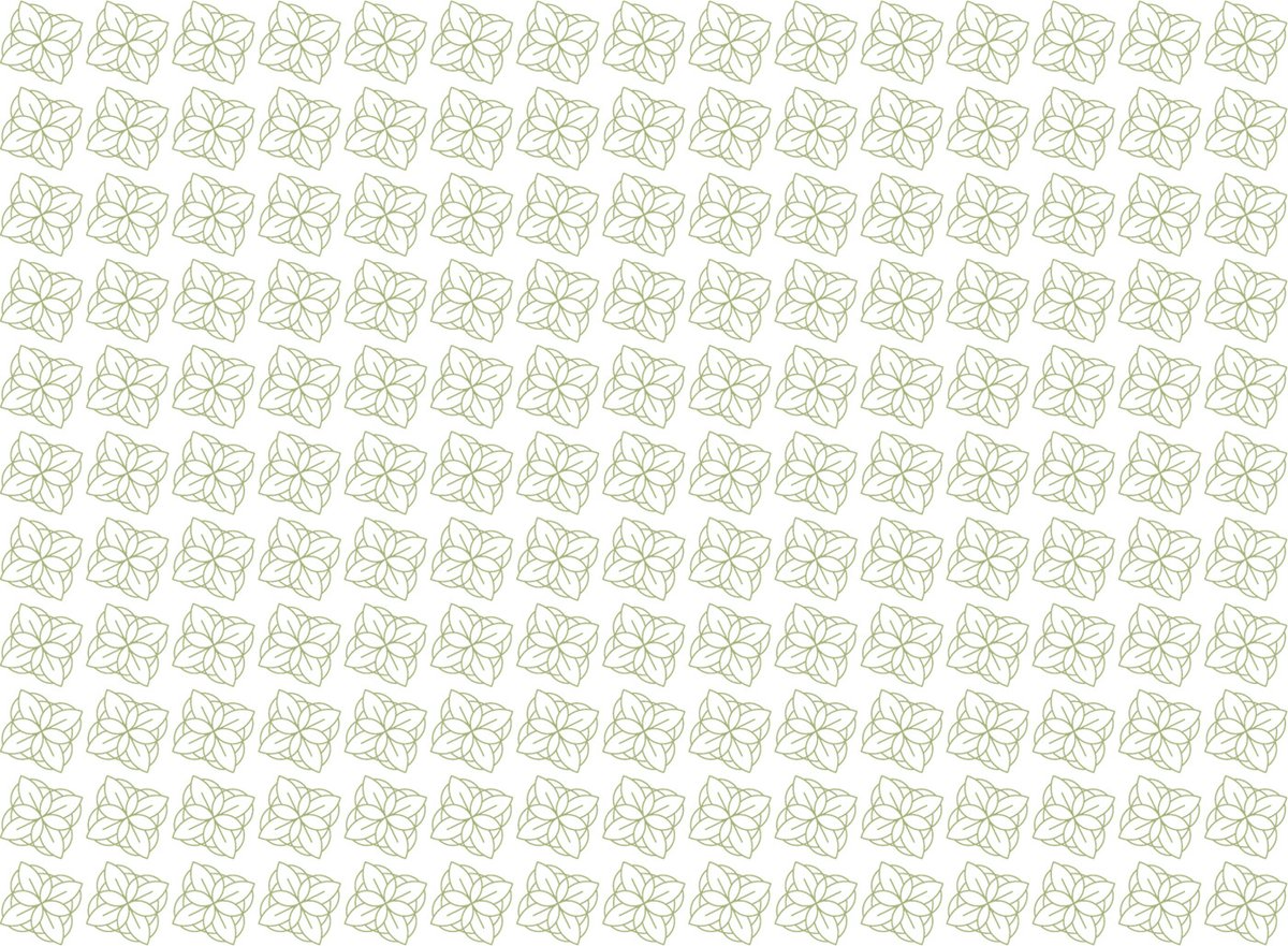 BUN?STARE美容品牌包裝vi設(shè)計(jì)——有機(jī)化妝品品牌視覺(jué)設(shè)計(jì)，vi設(shè)計(jì)，視覺(jué)設(shè)計(jì)，化妝品品牌vi設(shè)計(jì)，化妝品vi設(shè)計(jì)，企業(yè)vi設(shè)計(jì)，品牌vi設(shè)計(jì)，美容品牌vi設(shè)計(jì)，vi品牌策劃，深圳vi設(shè)計(jì)，左右格局