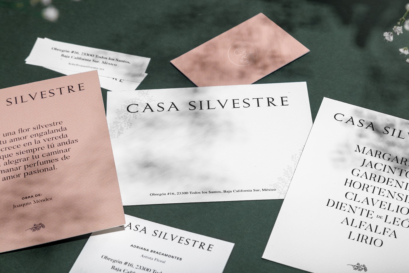 Casa Silvestre浪漫花店品牌logo設計與VI視覺設計，酒店VI設計，品牌視覺設計，企業VI設計，深圳VI設計，左右格局