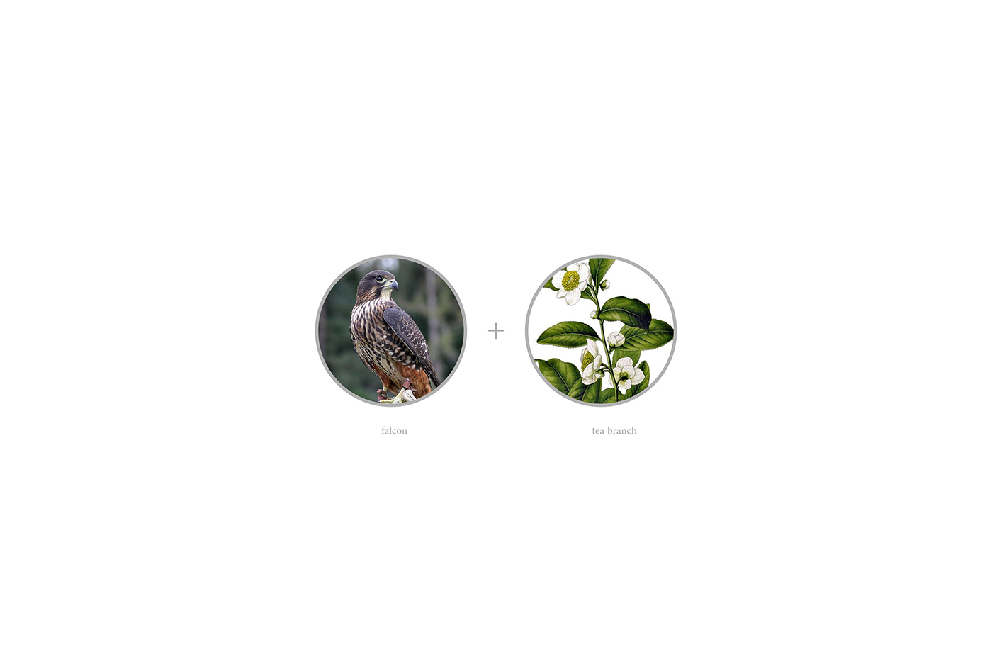 優質茶品牌重塑，茶葉品牌形象設計，茶葉品牌策劃，深圳茶葉vi設計